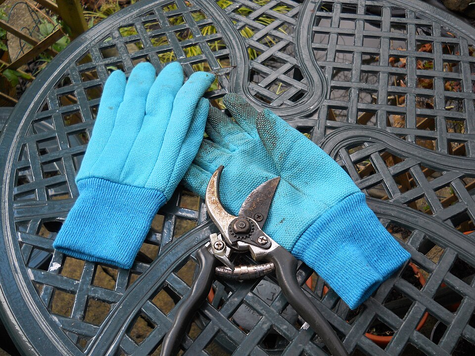 Illustrative small-tree pruning